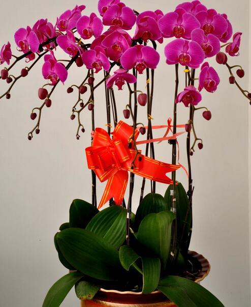 184e000716c227cf3a88