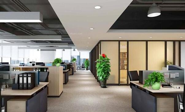 辦公室擺放什么花卉比較好